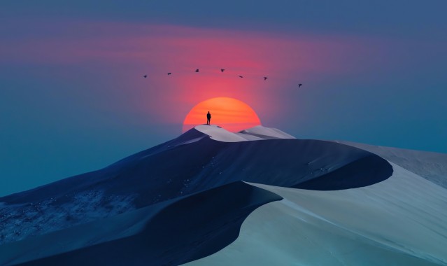 “给刚刚走进森林的你