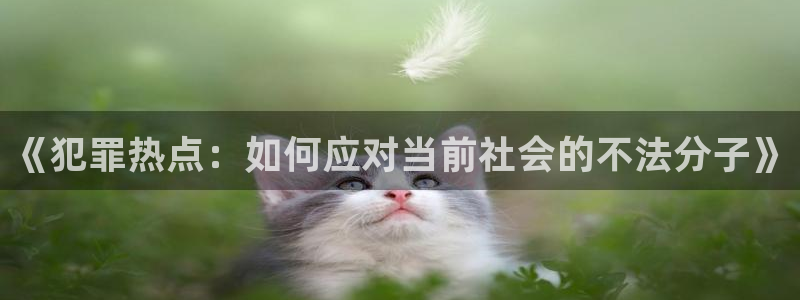 亚洲黑料网：《犯罪热点：如何应对当前社会