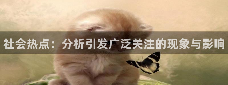 黑料女神攻略小说：社会热点：分析引发广泛